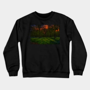 Bluebell Sunrise Crewneck Sweatshirt